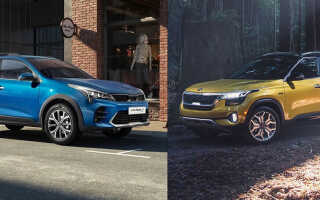 Сравнение Kia Rio X и Kia Seltos — какой лучше выбрать, характеристики машин
