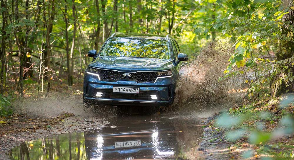 Kia Sorento в лесу