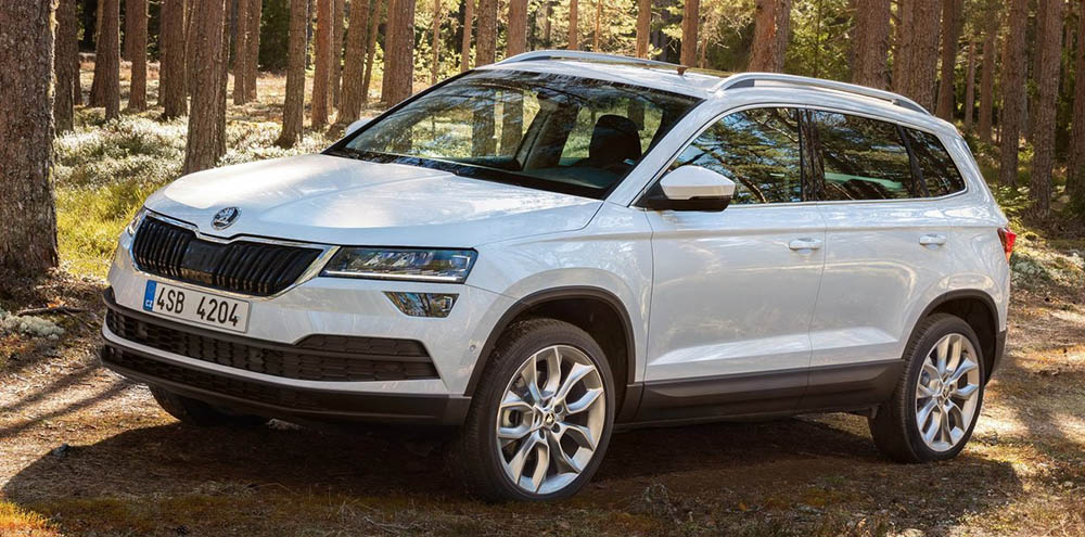 Вид Skoda Karoq